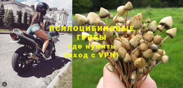 стаф Осташков