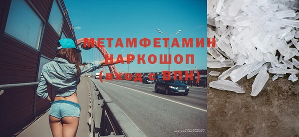 индика Новозыбков