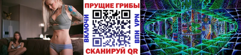 Купить где  Ленинградская  Псилоцибиновые грибы MAGIC MUSHROOMS 